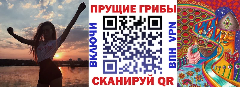 хочу   omg tor  Галлюциногенные грибы Psilocybe  Енисейск 